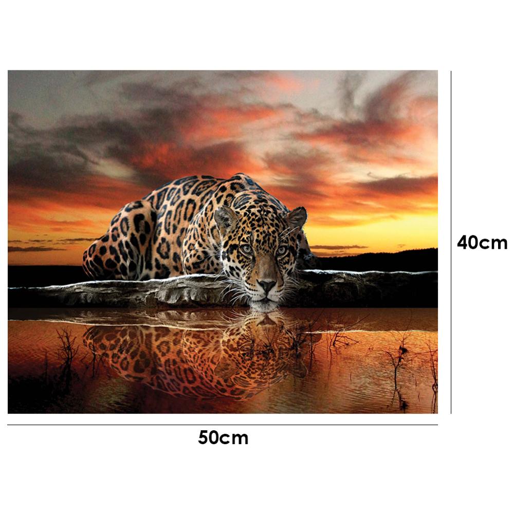 40x50cm Oli peinture par numéros Kit bricolage féroce aigle toile huile Art photo décor à la maison Animal fait main pas de cadre