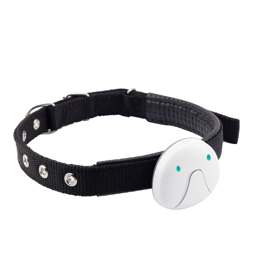 Localisateur Gps avec collier pour animaux de compagnie, dispositif de localisation Wifi, moniteur d&#39;activité étanche, dispositif Anti-perte pour chiens et chats: WHITE