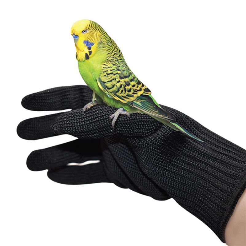 Bird Training Anti-Bite Gloves Animal Handling Chew Protective Gloves for Parrot