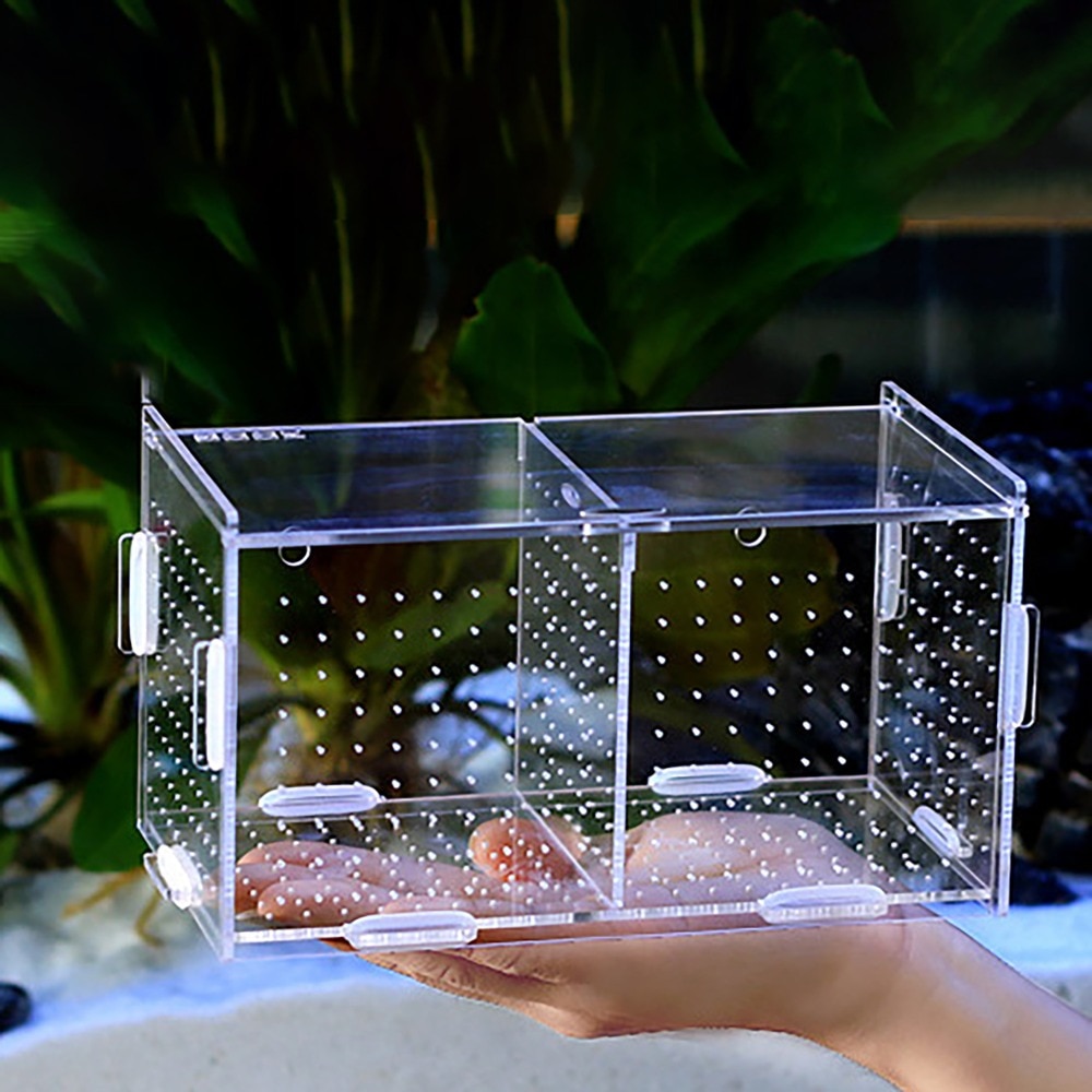 Aquarium fish tank isolation box acrylic guppies isolation box hatching box fry small fish juvenile fish Betta fish breeding box