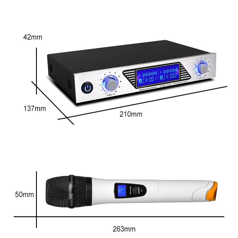 Handheld Wireless Microphone System with Dual Handheld Dynamic Microphones EU Plug