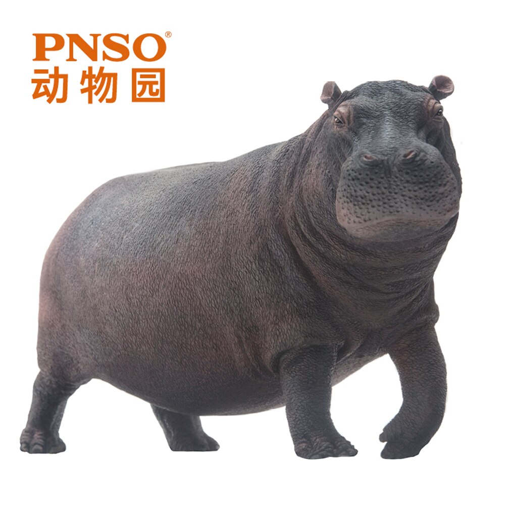 PNSO Hippopotamus Modell Hippo Hippopotamidae Tier Figur Desktop Dekoration Sammler Spielzeug