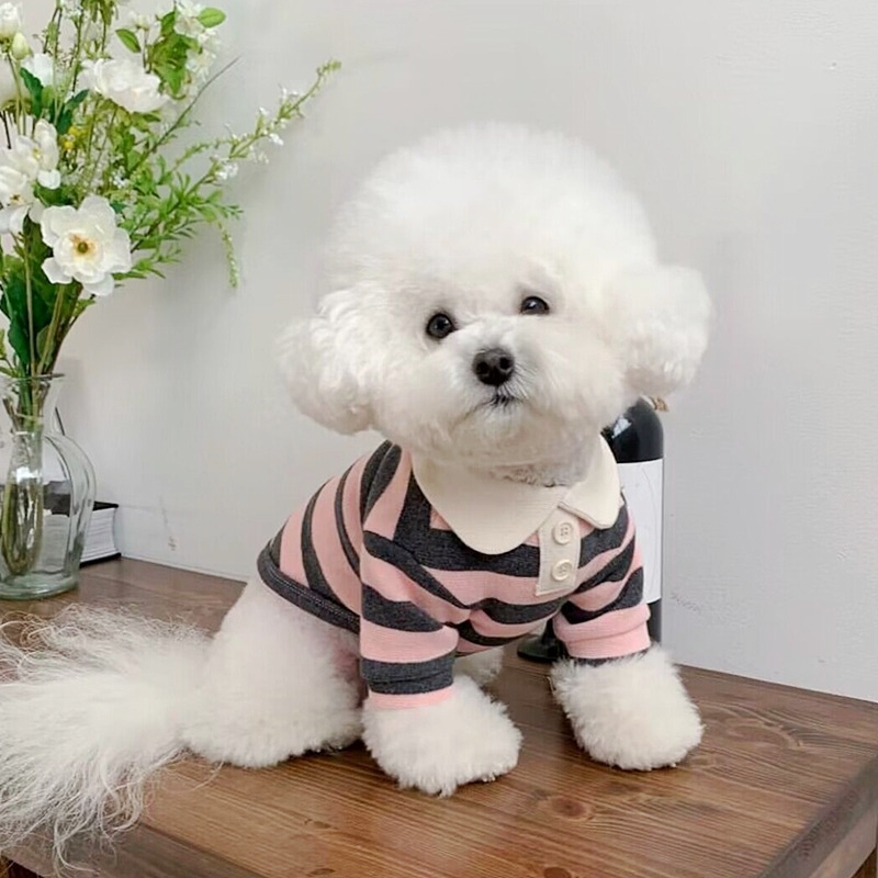 Zomerpoloshirt voor honden Puppykleding Bichon Frise Chihuahua Streep Hondensweatshirt Hond Koelvest voor kleine en middelgrote honden