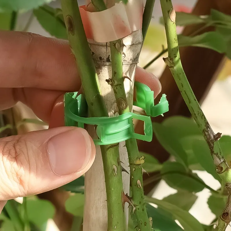 Garden Vine Strapping Clips, Suporte da planta, Fivela Empacote, Suporte do anel, Ferramenta de Tomate, Suprimentos de Jardim, 10Pcs, 200 Pcs