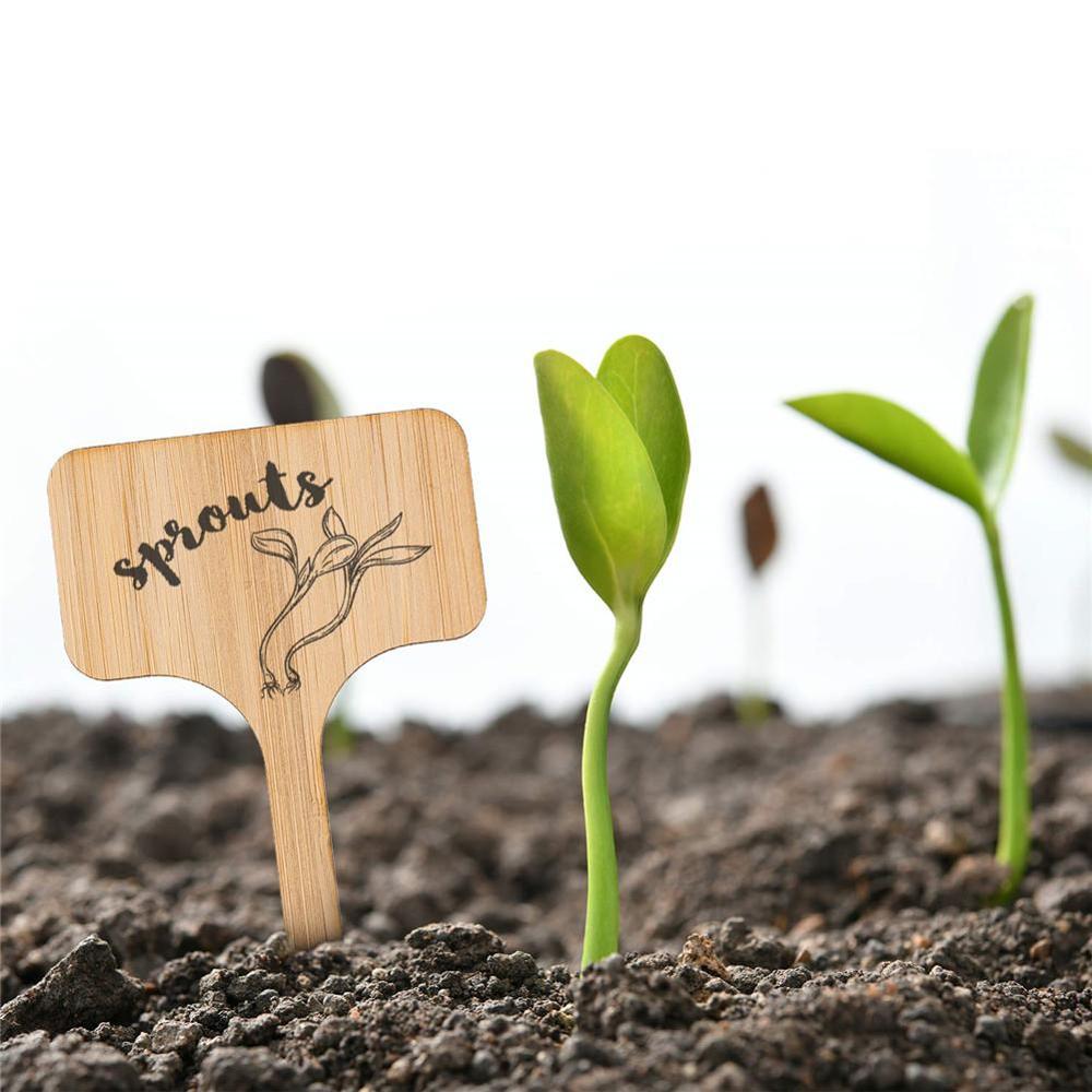 50 Uds. Etiquetas de plantas de bambú, etiquetas de señal de plantas de madera tipo T ecológicas, marcadores de jardín para semillas, hierbas en maceta, flores, verduras