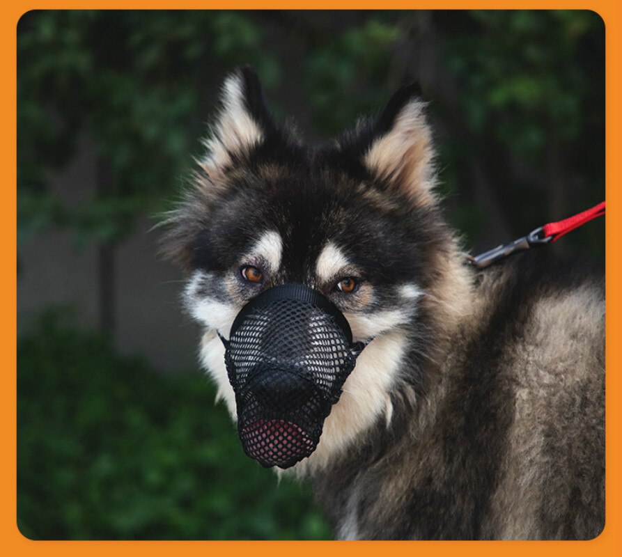 Younice Anti Barking Dog Muzzle for Small Large Dogs Adjustable Pet Mouth Muzzles for Dogs Nylon Straps Dog Accessories 4 Size