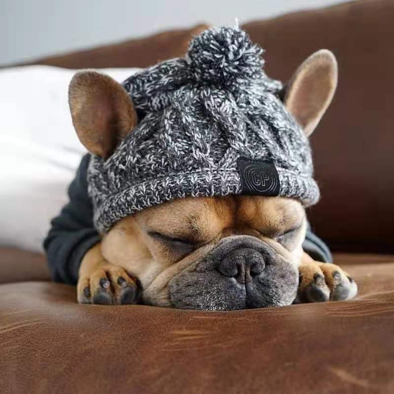 Gorras para perro Bulldog francés Pug, oso, gatito, cachorro, gorro de lana de punto, suministros para perro mascota, productos para invierno