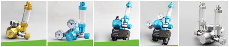 1 piece 220v CO2 decompression table CO2 regulator single table/double table/single solenoid/double solenoid/single table 2 out