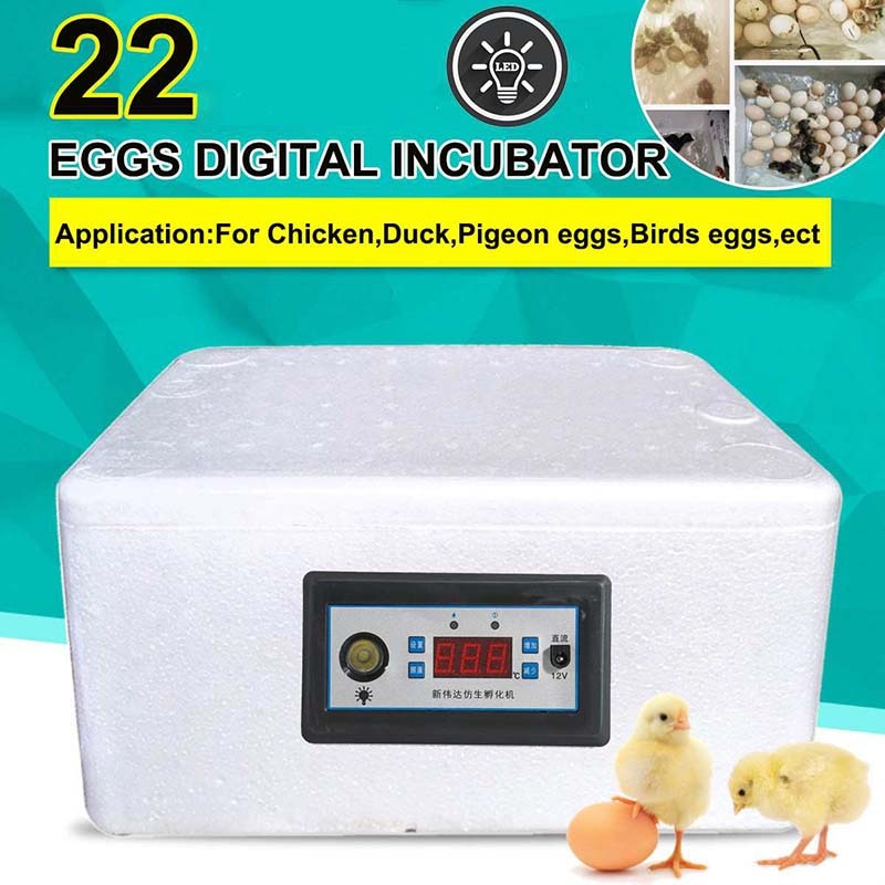 22 Position Family Eggs Incubator Automatic Home Digital Chicken Poultry Hatcher Foam Waterbed Incubator Farm Incubation Tools