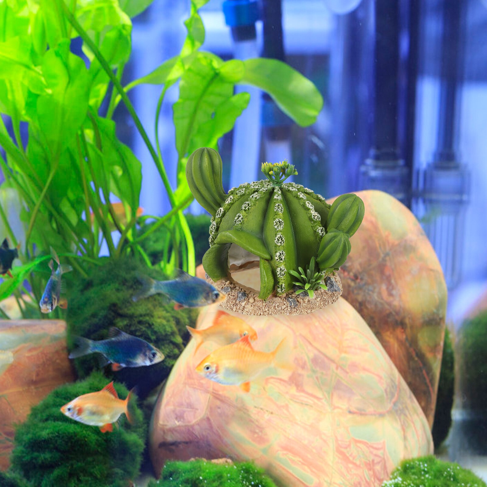 Decorative Reptiles Shelter Tortoise Hiding Adornment Reptiles Box Decoration (Green)