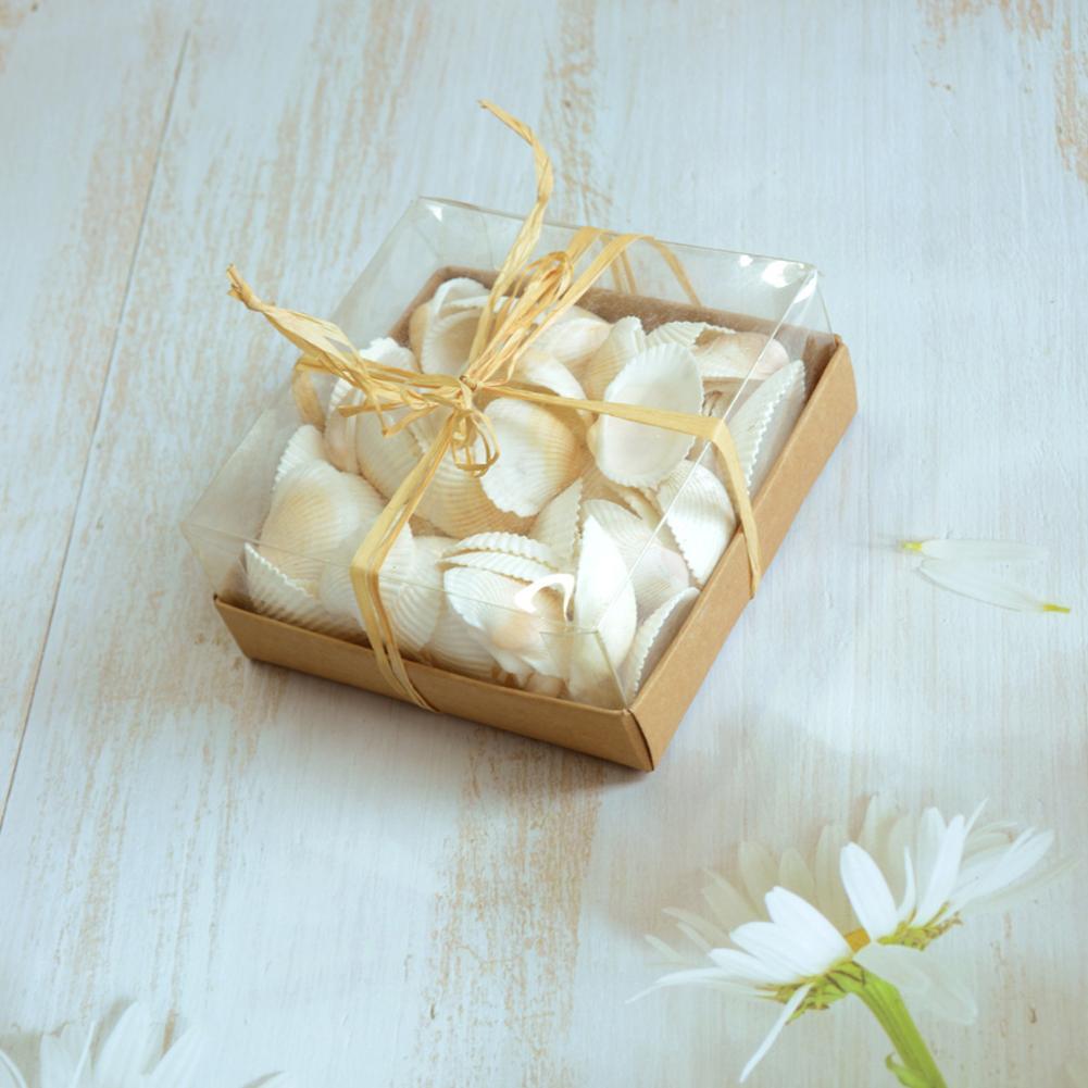 130g Natural White Clam Box DIY Home Decoration Pendant Crafts Marine Life Collection For Hotel Living Room Decor