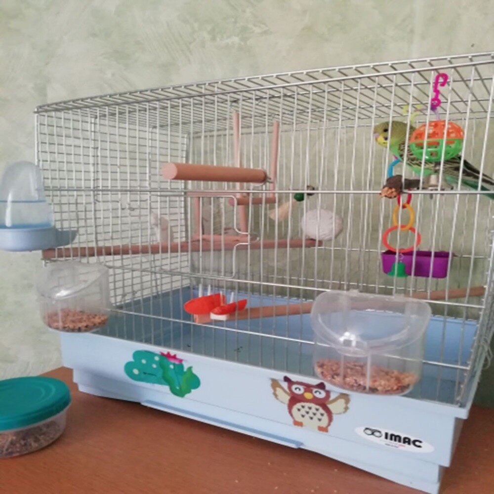 Giocattoli in legno per pappagalli per animali domestici giocattoli per bastoncini gabbia per uccelli posatoi piattaforma per piedi zampa giocattolo per macinazione per pappagallo pappagallo accessori per uccelli da compagnia