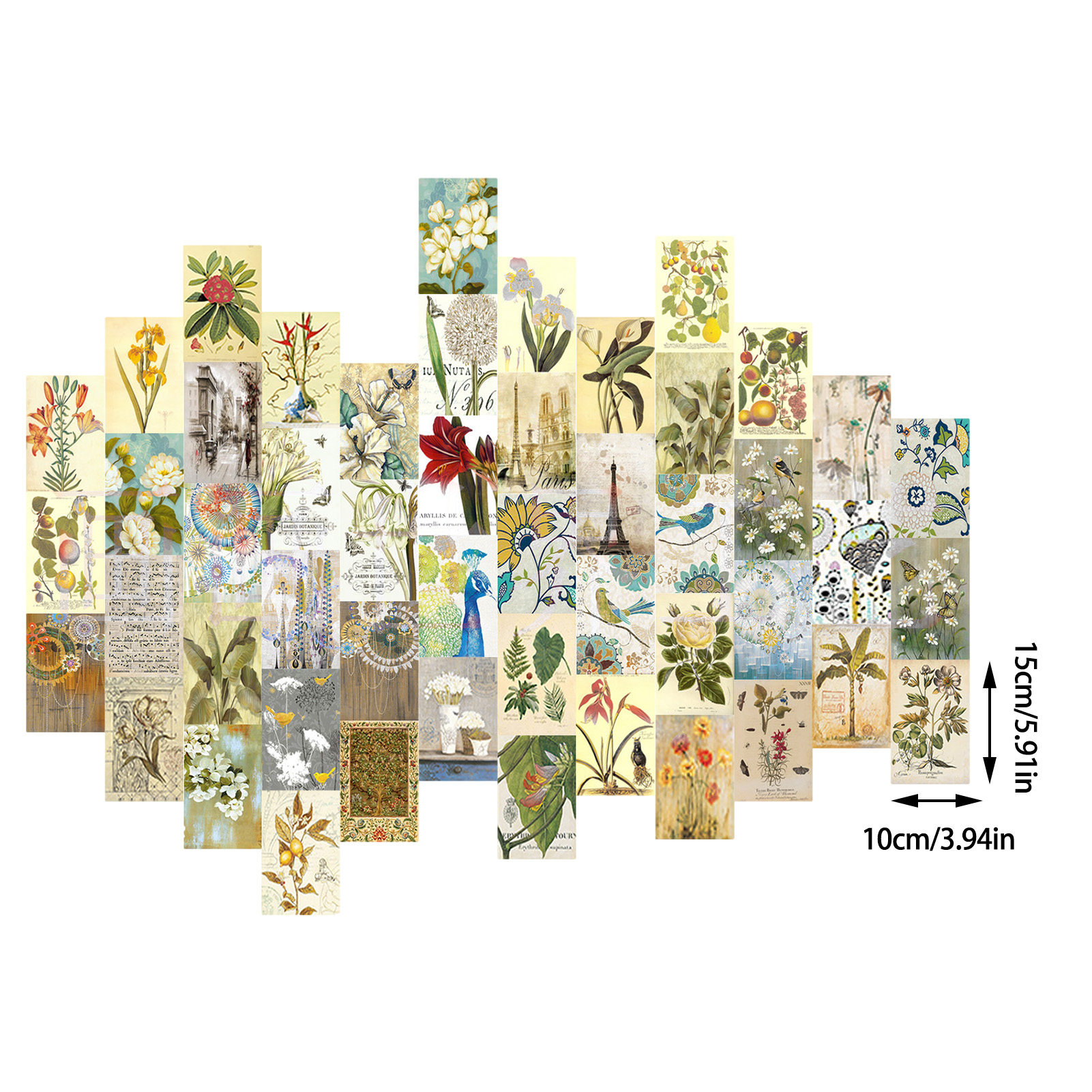 Kit de Collage de pared botánico Vintage, imágenes de plantas estéticas para decoración de habitación, Póster Artístico de pared, 50 piezas
