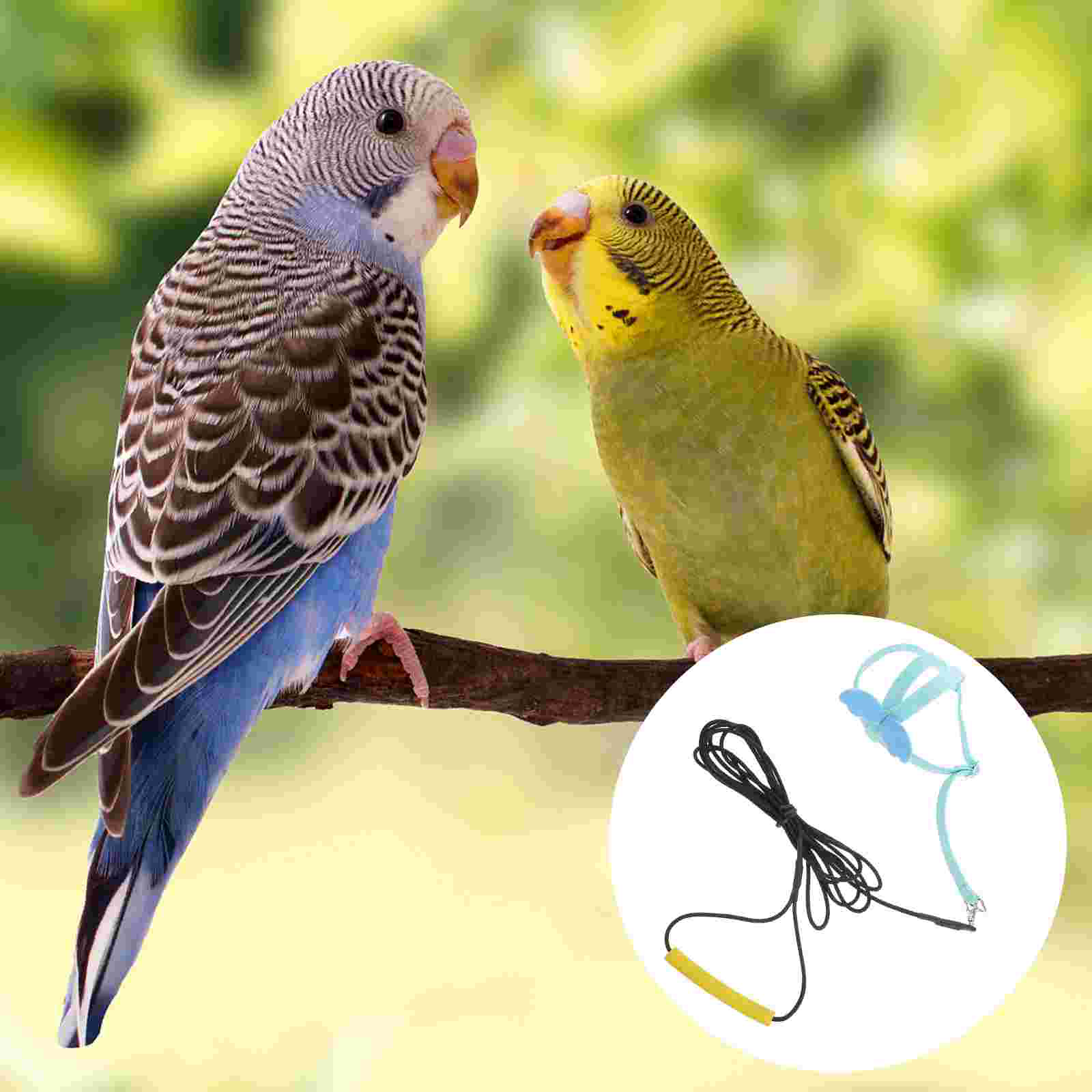 1pc Cockatoo Harness Outdoor Parrot Flying Rope Rearing Parrot Accessory