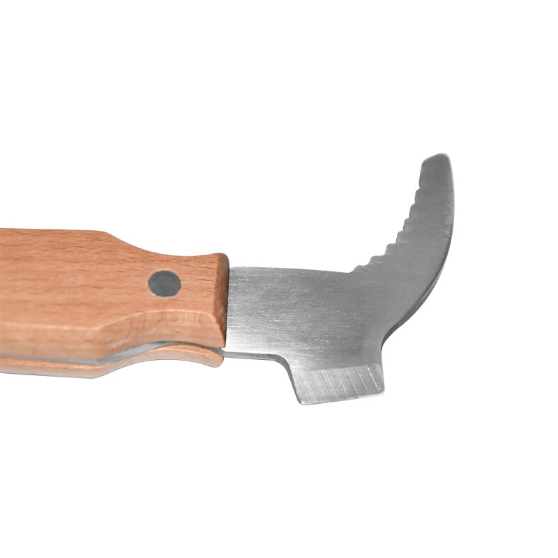 Grattoir à Miel En Acier Inoxydable - Outil D'apiculteur Avec Manche En Bois, Pour Ruches Et Cadres - 2
