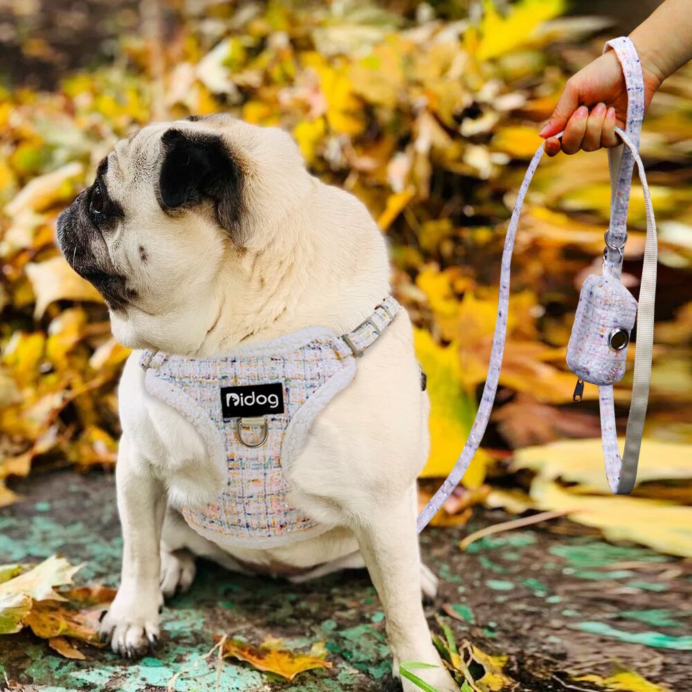 Ensemble de harnais et laisse pour chien, en molleton doux et épais, carlin, chiot, avec sac de merde en plomb, pour petit et moyen gabarit, chat, Chihuahua