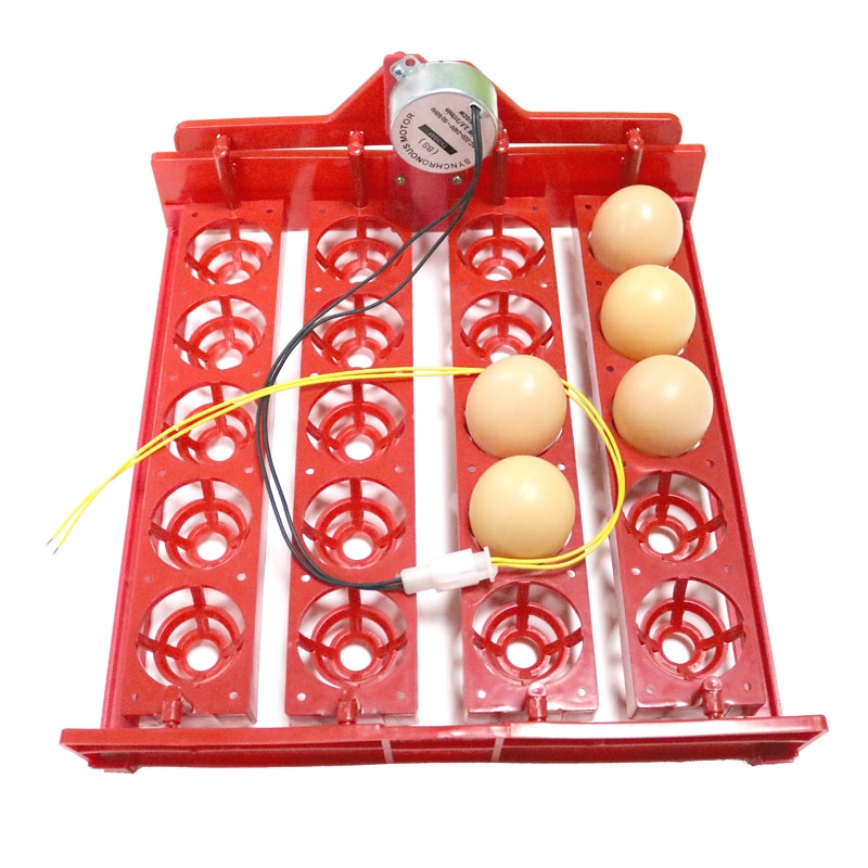 20 Eggs Incubator Turn Eggs Tray 220V/110V/12V Motor Chicken Eggs Automatic Hatching DIY Incubator Accessories Equipment 1 Set