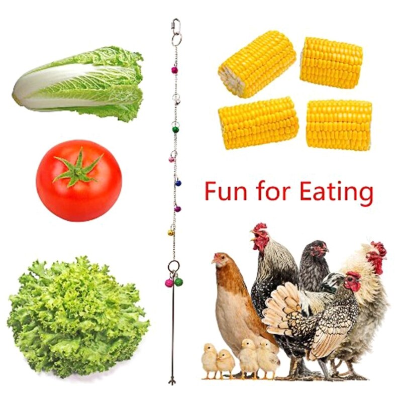 Stainless Steel Bird Hanging Food Holder Parrot Fruit Vegetable Feeder Chain Meat Skewer Foraging Toys for Parrot Parakeet Hens