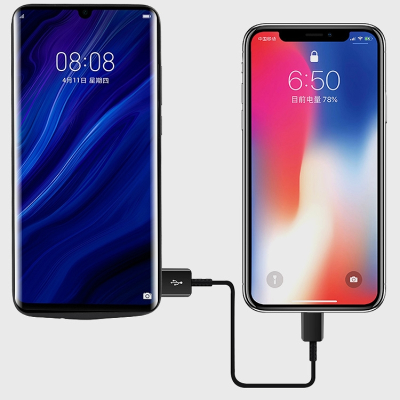 10000mAh batterijhoes voor Huawei P40/P40 Pro/P30/P30 Pro Draagbare oplader met hoge capaciteit Slanke beschermhoes met snel opladen