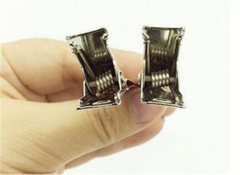 10 Stuks Professionele Salon Roestvrij Hair Clips Hair Styling Gereedschap Diy Kappers Haarspelden Haarspeldjes Hoofddeksels Accessoires