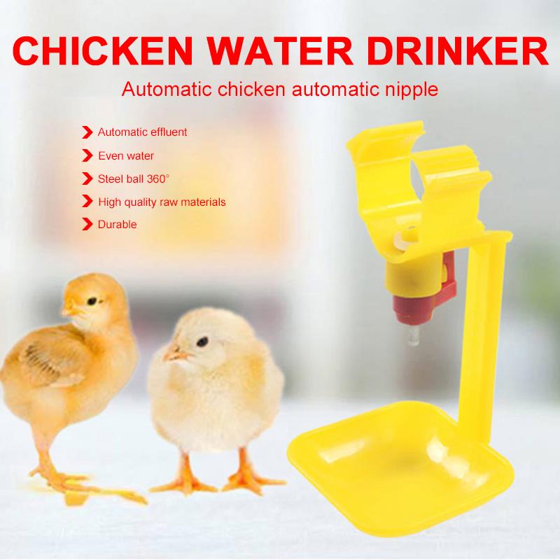 4 stücke GeflüGel Trinker Ausrügestochen Huhn Trinken Brunnen Bequem Broiler KüKen Fütterung Doppel Automatische Ebene VöGel