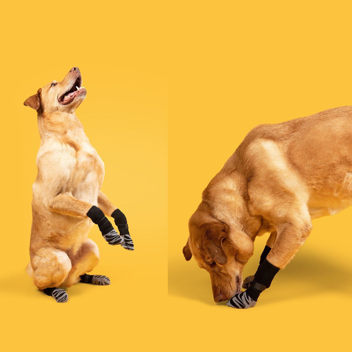 Calcetines antideslizantes para perros para pisos de madera dura, evitan que lamer y resbalones, botines gruesos para perros con pinzas para perros pequeños, medianos y grandes