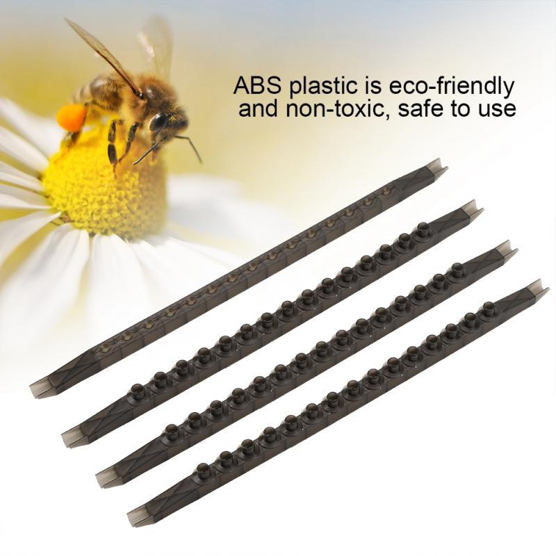 6 Colors Bee Queen Frame Rearing Complete System C... – Vicedeal