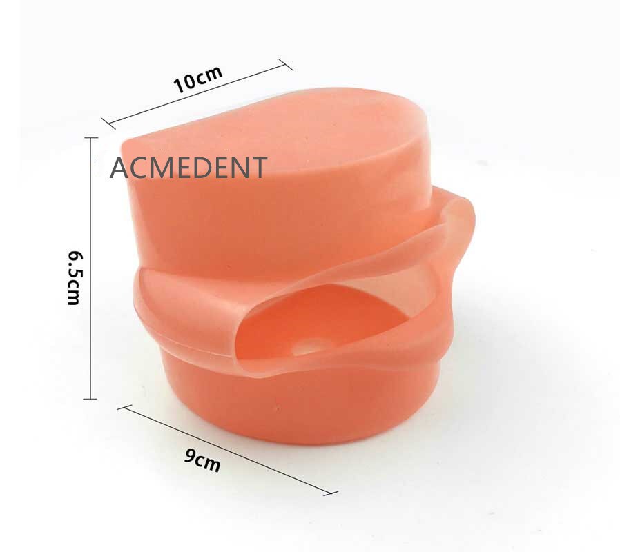 Dental Study Teaching Model Standard Model Removable Teeth Soft Gum Adult Typodont Model 3 Type: A X1Pcs