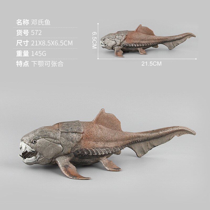 Modell Marine Organismus Meer Aal Dunkleosteus Segelfisch Solide Meeresboden Ebene freundlicher Spielzeug Kognitive: Pl127 572 Dunkleosteus 145G