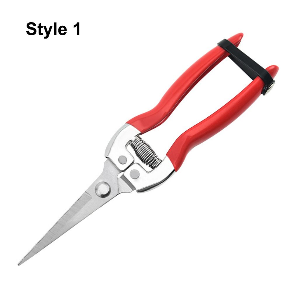 Tijeras para floristería, herramienta para podar árboles, podadora manual de jardinería, tijeras de jardín, recortadora de hojas, tijeras de podar rectas con micropunta, 1 Uds.: Marrón