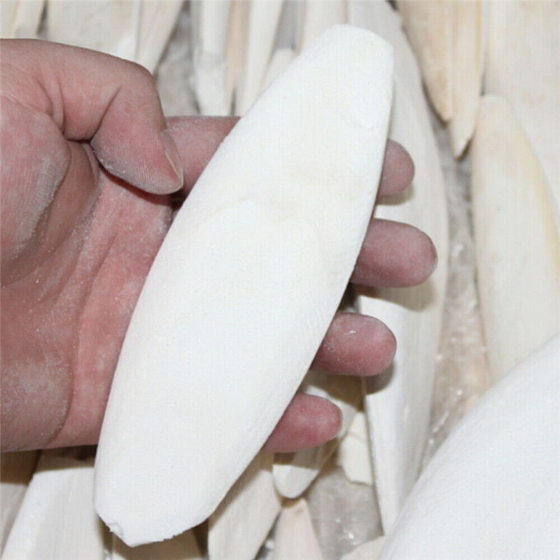 1 /2 Pcs Cuttle Fish Cuttlefish Bone For Pet Budgie Birds Reptiles Tortoise Food