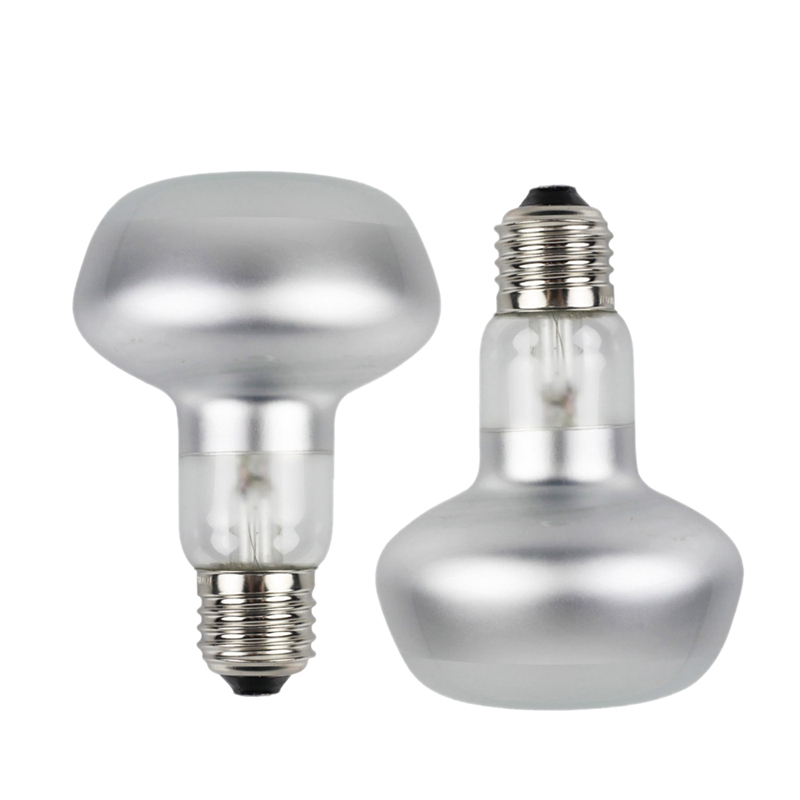 2 Pack 75W UVB rettile luce UVA UVB lampada di calore lampadina drago barbuto accessori per rettili 220V