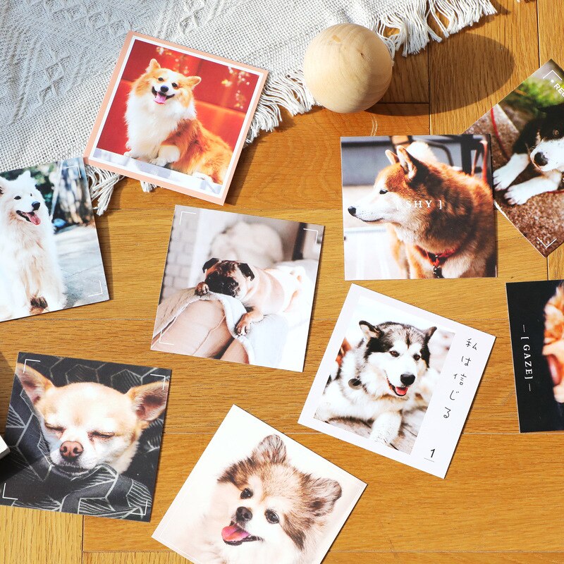 Ins 9 Sheets Interesting Cat Dog Postcard Square Cute Animals Decorative Card Small Poster Diy Background Wall Sticker