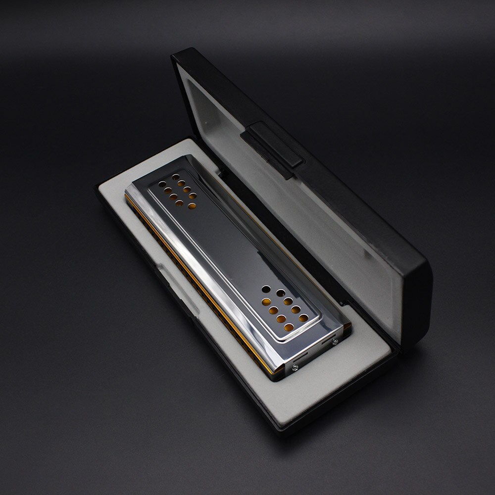 Svan 2- i -1 dubbelsidig tremolo munspel munorgel dural nyckel av c & g 24 dubbelhål vass blåsinstrument med rengöringsduk