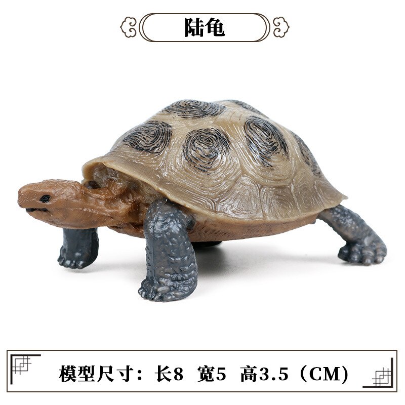 Simulatie Oceaan Dier Zeeschildpad Serie Miniatuur Model Action Figures Collection Cognitie Creativiteit Speelgoed Voor Kinderen: M-517