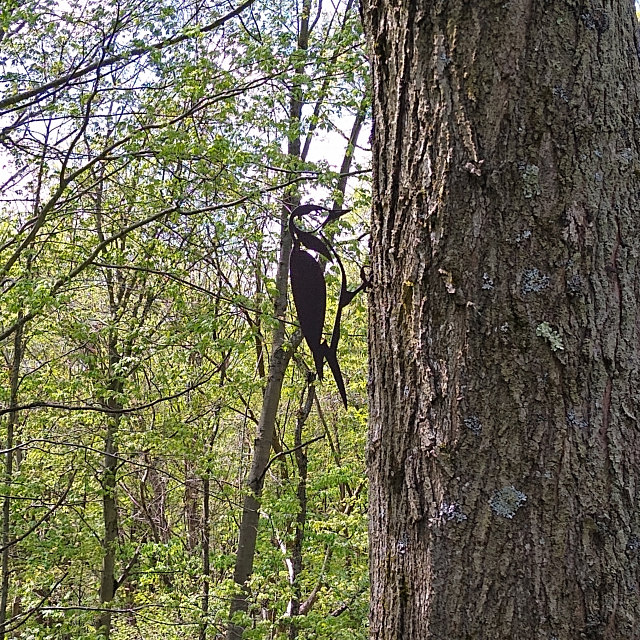 Woodpecker metal tree art bird silhouettes garden decor