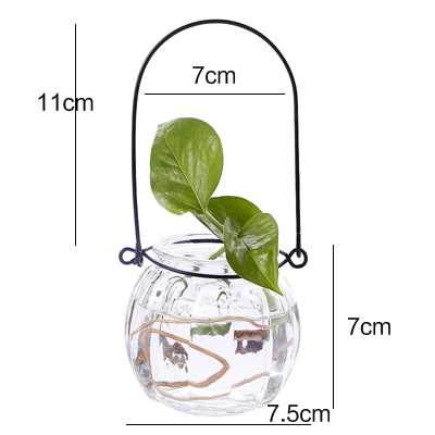 Hydroponiska växter vas enkel glasvas hem dekorativa bord transparent blomvas: A
