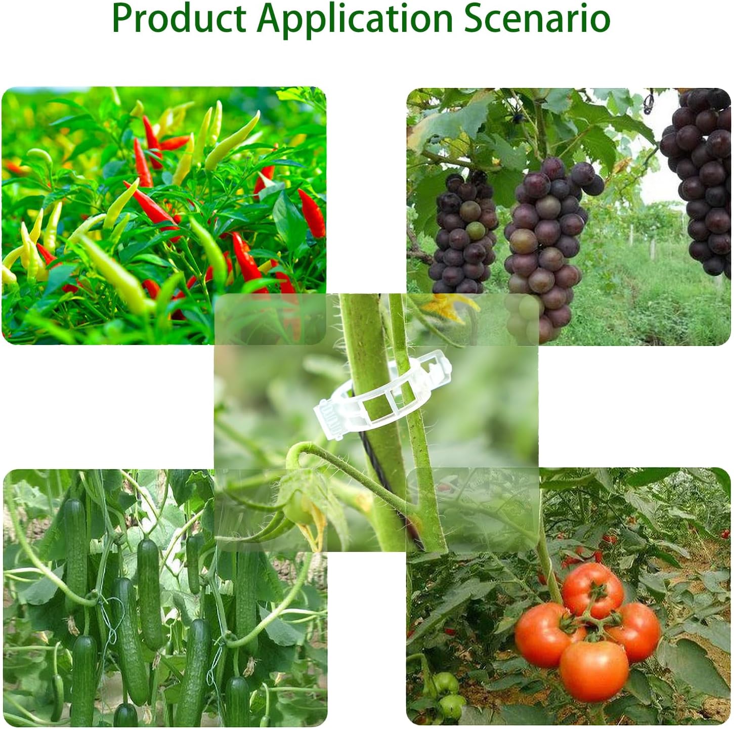 50-100 Stuks Tomaat Clips Plant Clips Wijnstokken Plastic Trellis Clips - Ondersteuning Clips voor Klimplanten Komkommers Paprika Groenten