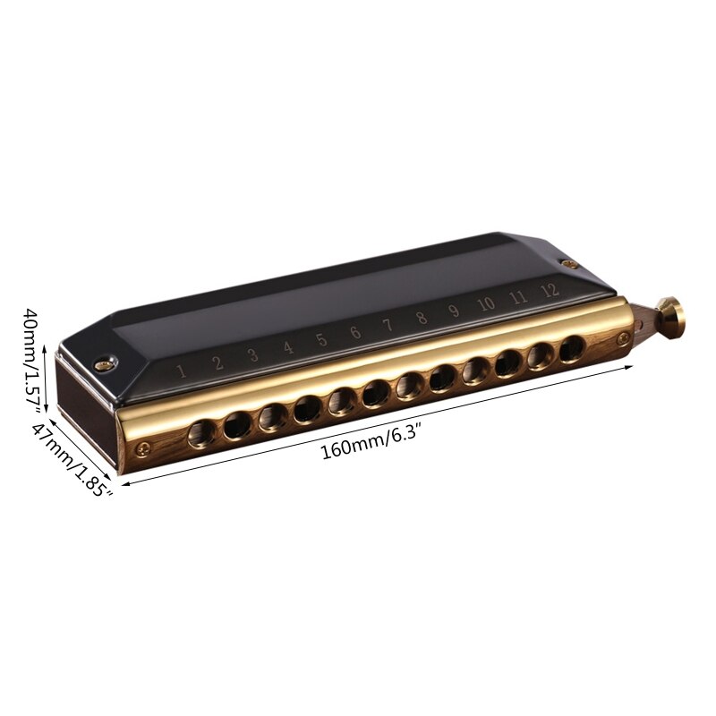 Harpe Harmonica à 12 trous, 48 tons, diatonique, Key C, bleu, Jazz, orgue buccale, éducation précoce, entraînement au sens de la musique