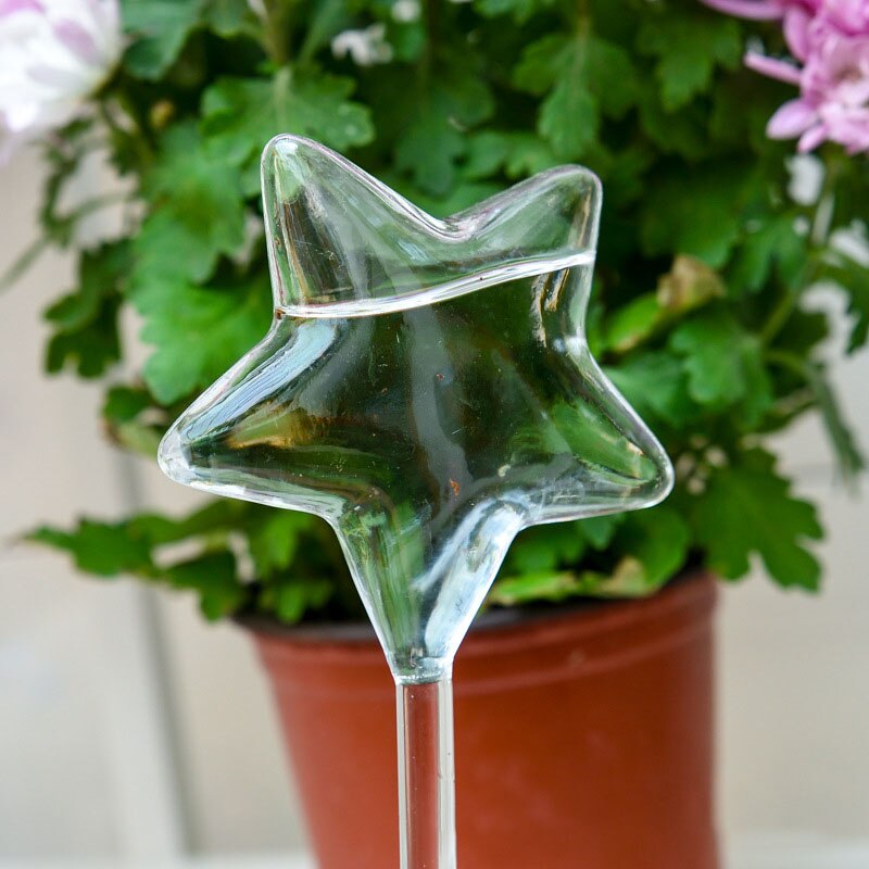 Pvc/glas självbevattningsanordningar växt blommor vattnare fågelstjärna hjärta vattenmatare automatisk vattning för inomhusträdgård: Stjärna