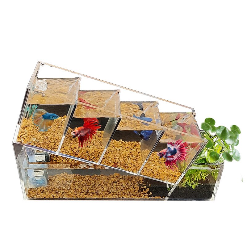 Betta Fish Tank Acrylic Desktop Small Fish Tank Multi-grid Isolation Area Self-circulation Filter Water-free Ecological Aquarium
