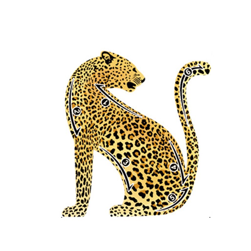 Eye Makeup Stencils Cheetah Eyeliner Stencil Template Shaping Tool With Eyeliner