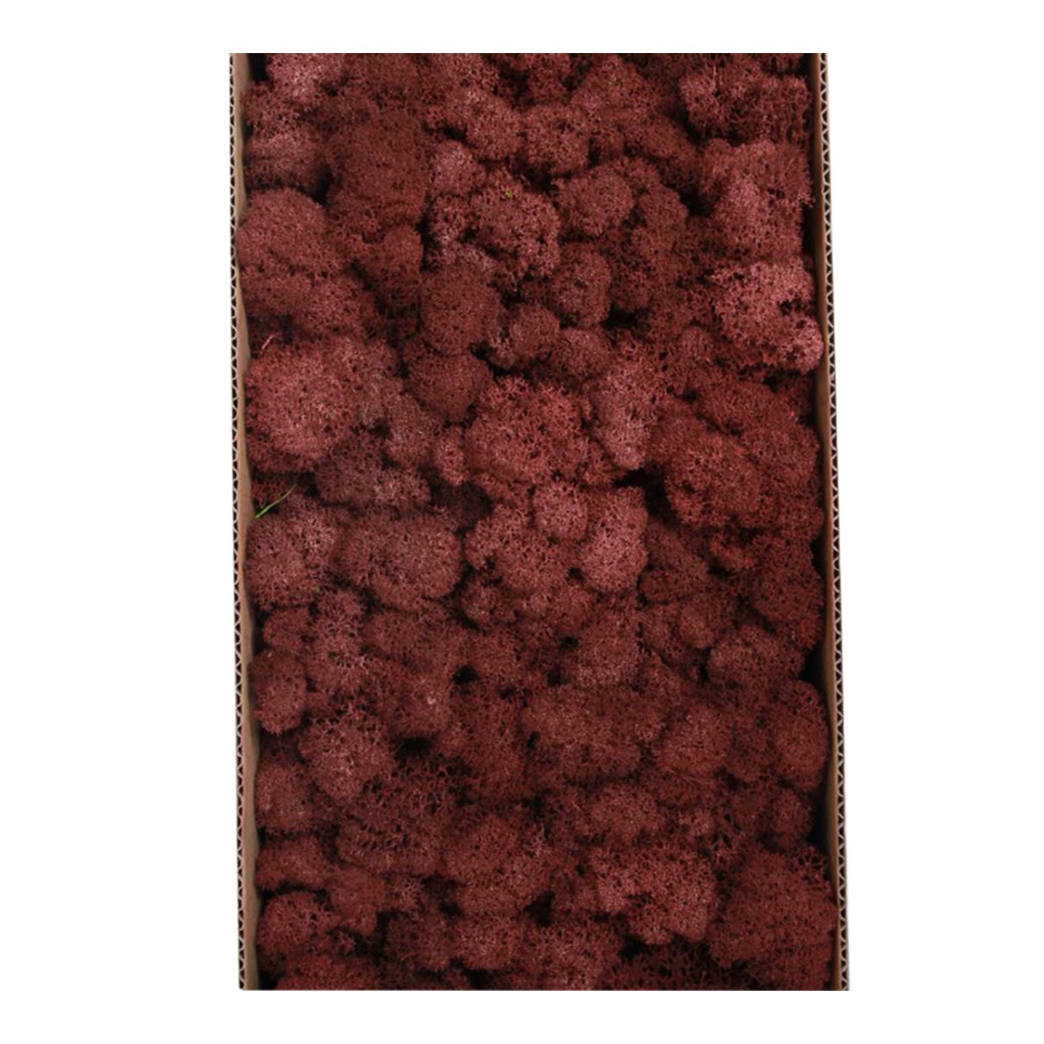 Preserved Moss Wall Decor Real Preserved Moss No Maintenance Required Naturally Preserved Moss Home Wall Party Festivals Crafts: Type 11