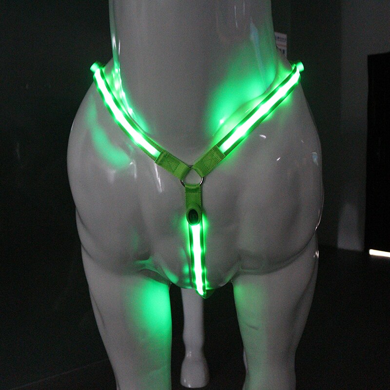 LED Équitation Ceinture En Nylon Imperméable Cheval Ceinture Thoracique Visible de Nuit Plastron Équitation Éclairage Équipement Équestre