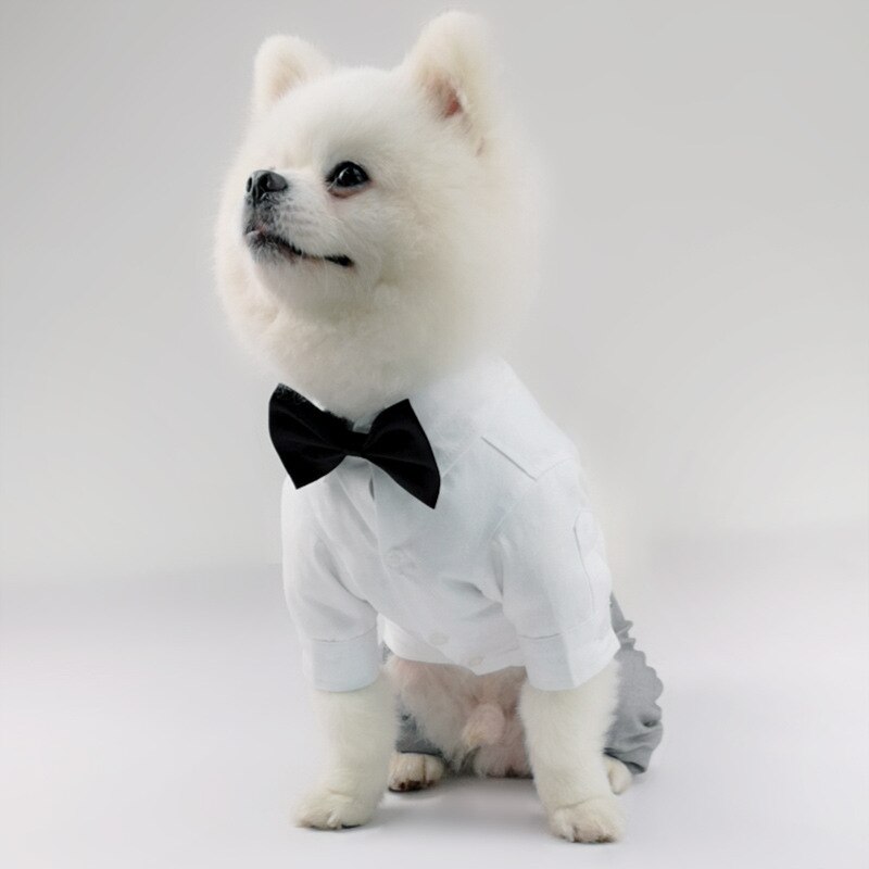Traje de perro para boda, 4 Patas, Chihuahua, Yorkie, Pomeranian, Schnauzer, Pug, Bulldog Francés, ropa para mascotas