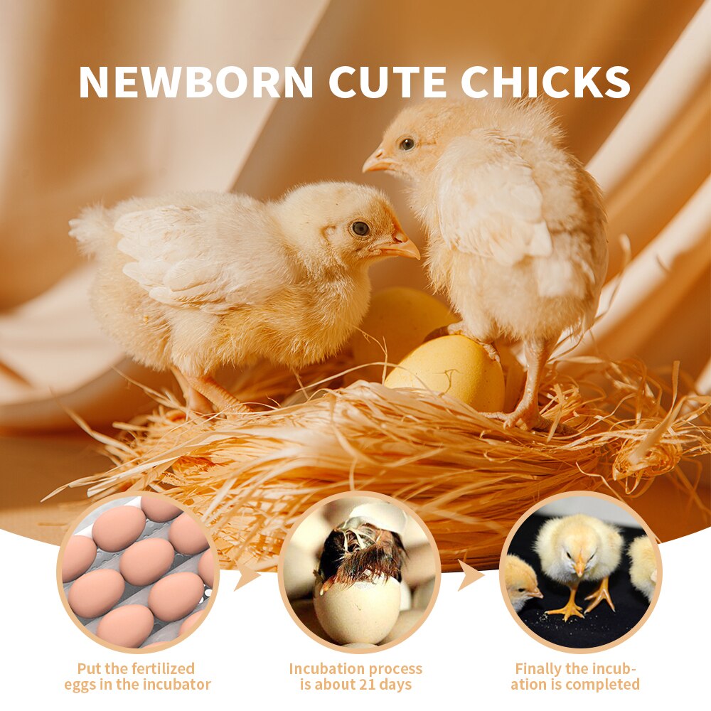 Egg Incubator Fully Automatic Incubator Household Brooder Farm Chicken Bird 12 Eggs Animal Supplies Hatching Machine Poultry