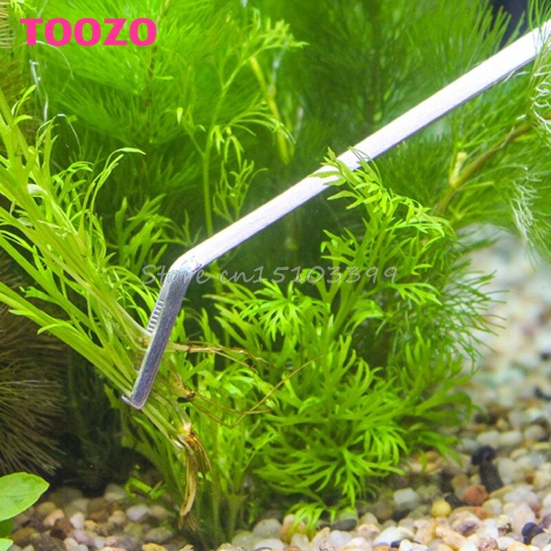 3/5Pcs Aquarium Onderhoud Gereedschap Kit Pincet Schaar Voor Levende Planten Gras G08 Rental &