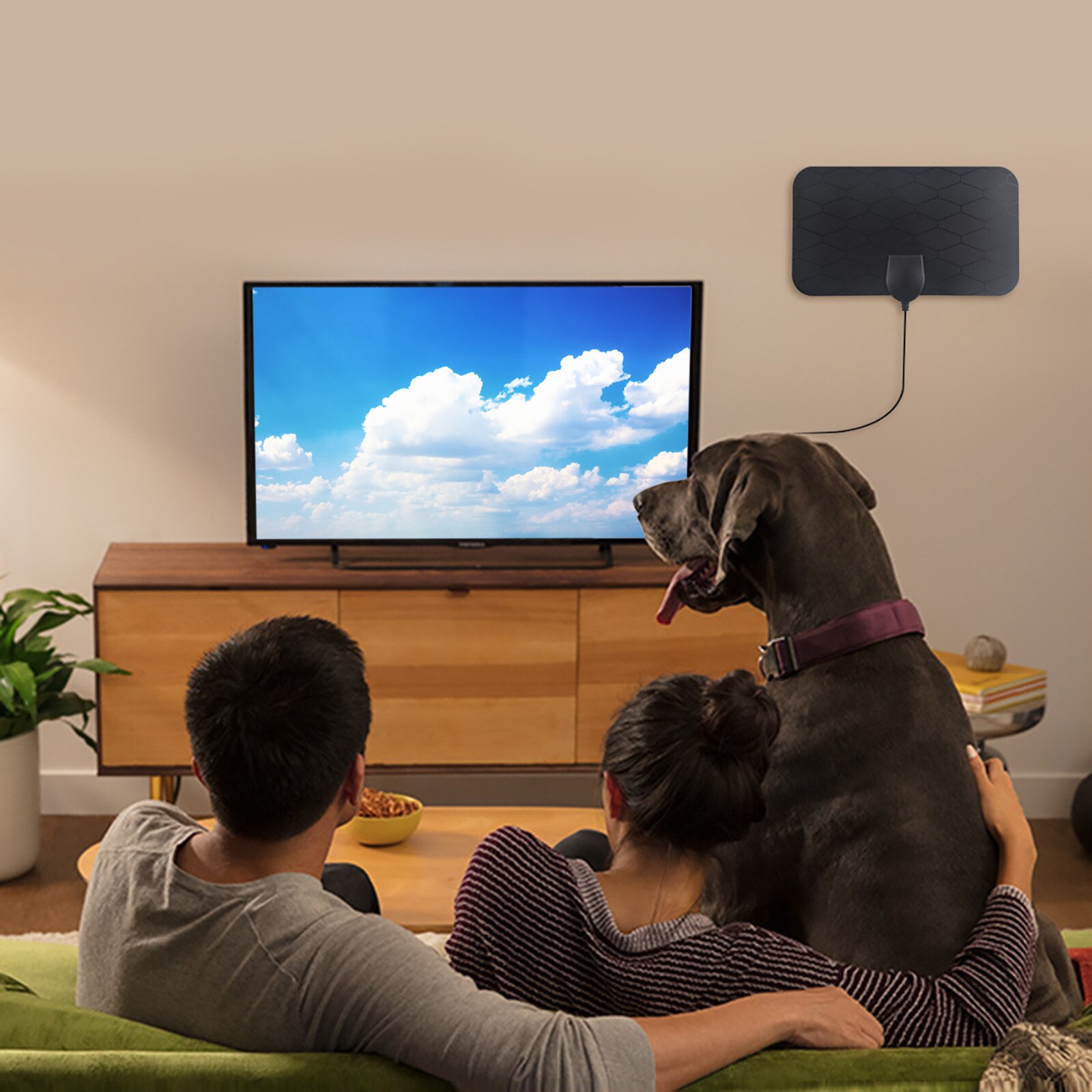 Mini antenne Tv numérique d'intérieur, onde terrestre, adaptateur Iec, tête F, réception de signaux de diffusion Tv Hd gratuits