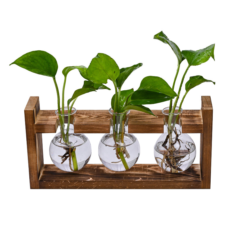 Petit Vase hydroponique avec cadre en bois, conteneur de bouteilles en verre pour plantes, décoration de maison, salon, bureau