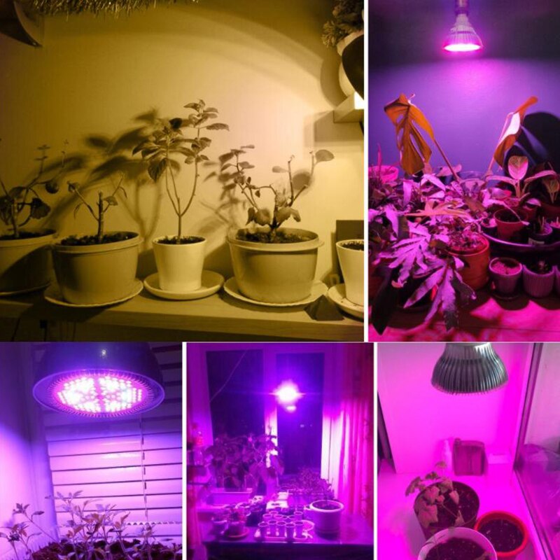Bombilla LED de 300W para cultivo de plantas, luz de espectro completo, E27, 200 LED, para plántulas de vegetales y flores de interior, 2 uds.